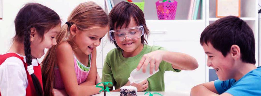 Assess your STEM Skills this Summer
