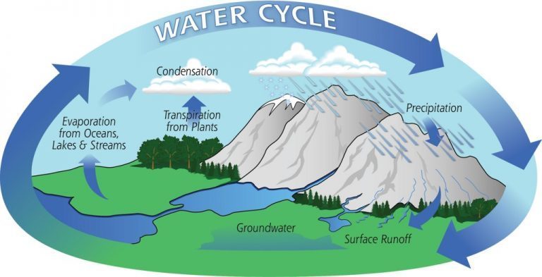 Water Cycle – Grade 7 Science Worksheet