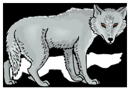 Biotic Factors - Example - Wolf