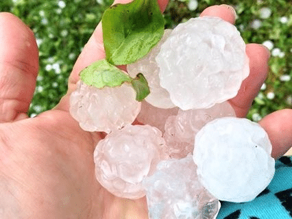 Picture of a person holding hail stones in hand